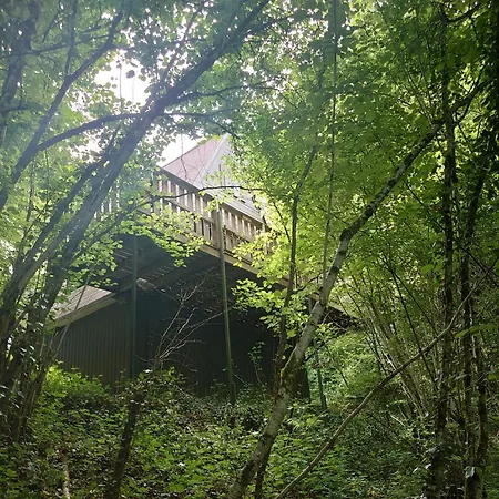 230 I Deux-cent-trente I Gezellig Aan De Rand Het Bos - 5 Persoons I シャレー *